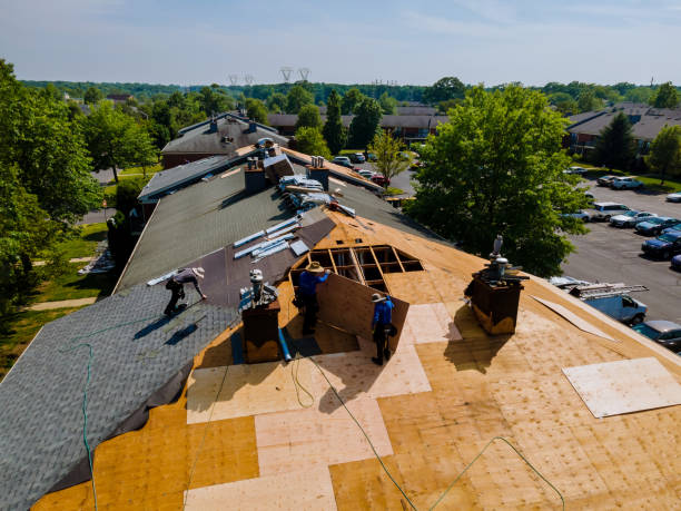 Trusted Roof Replacement service in Concord, CA - Brentwood Metal Roofing